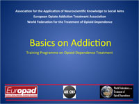 Basics on Addiction - Slides