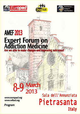 AMEF 2013